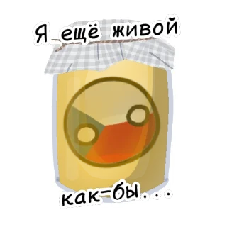 🇨🇿