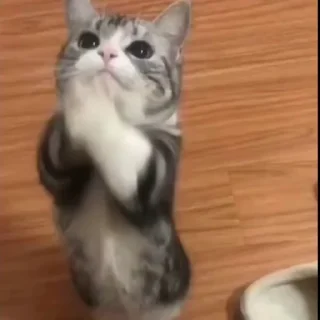 🤩