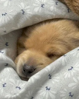 😴