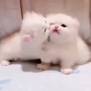 🤗