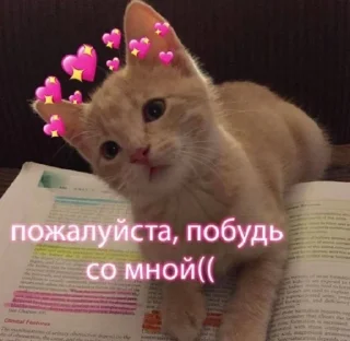 🥺