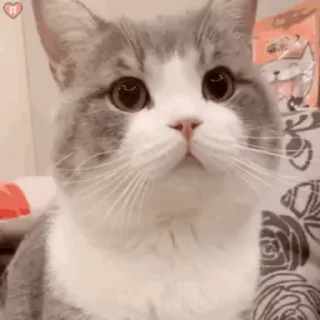 😏