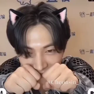 🐈‍⬛️