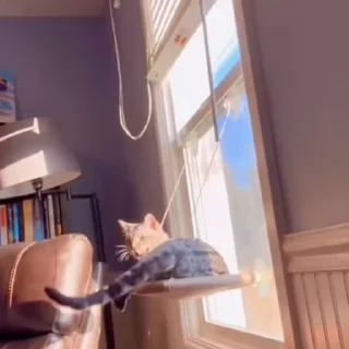 😡