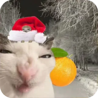 🎄