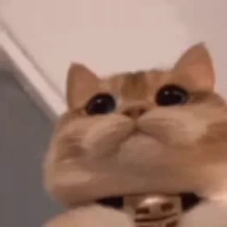 😀