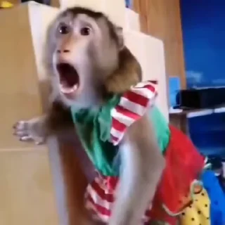 🌟