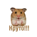 👍