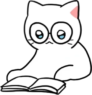 cat ⋆ @tulikettuwu