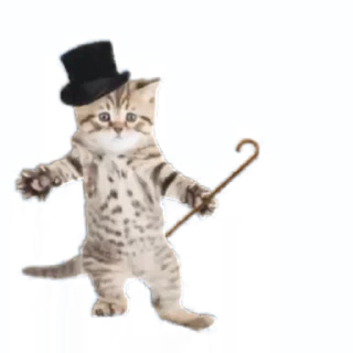 🕺