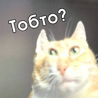 ❔