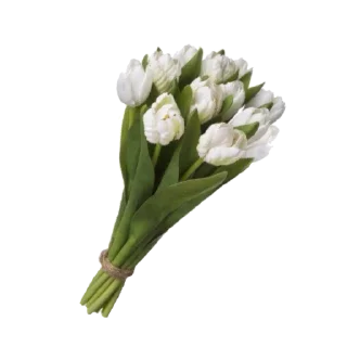 🌷