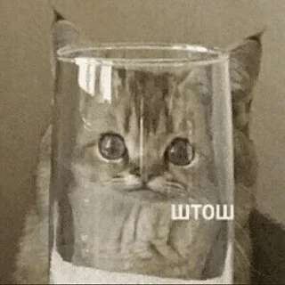 😺