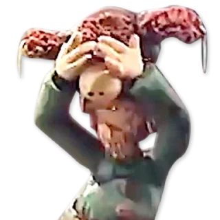 🙈