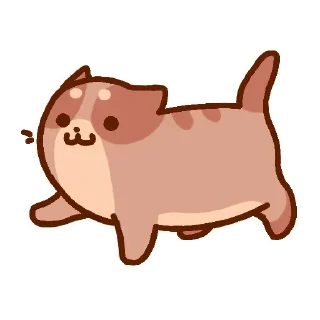🐈