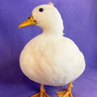 😐