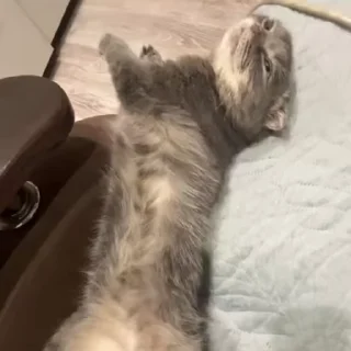 😴
