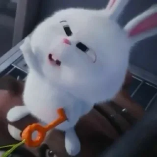 🙄