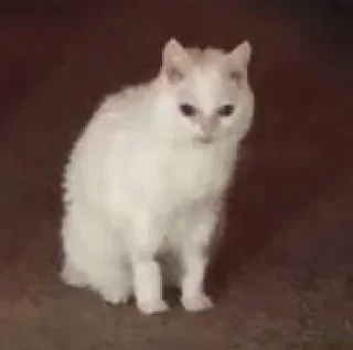 😤