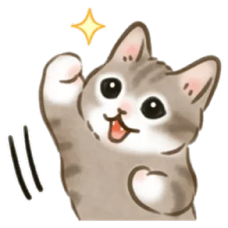 🐱