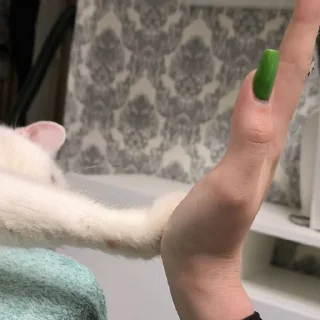 🖐