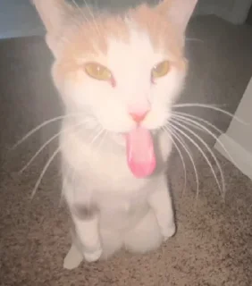 😛