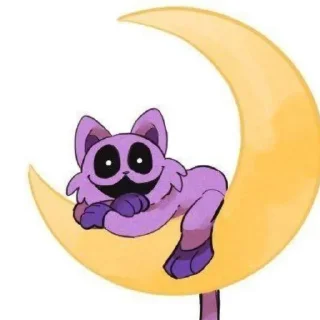 🌙