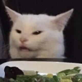😾