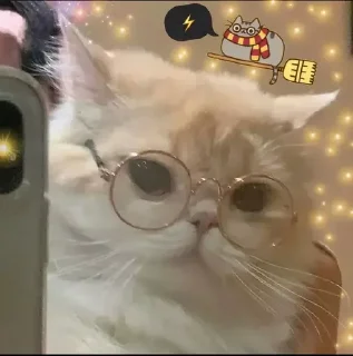 ⚡️