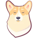 🐶