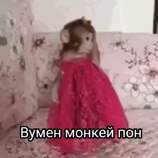 😿