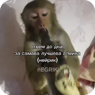 🌟
