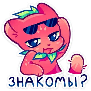 😎