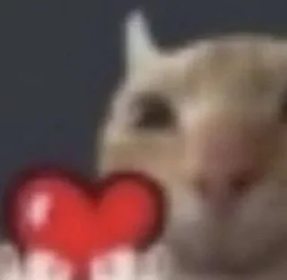 ❤️