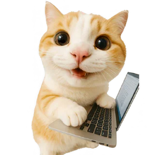 💻