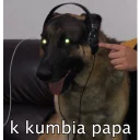 🎧