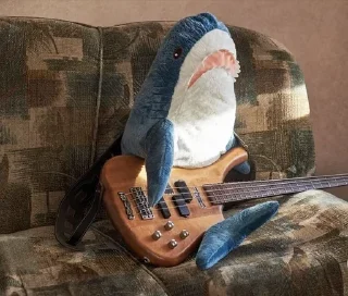 🎸