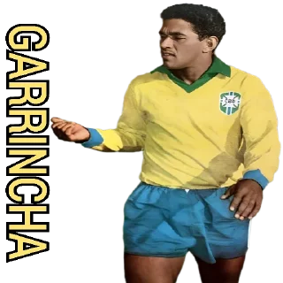 🇧🇷