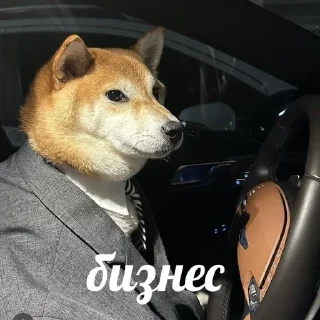 💰