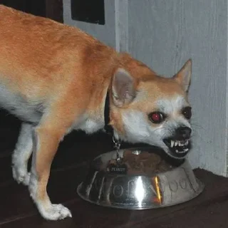 👹