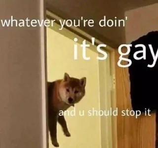 🏳‍🌈