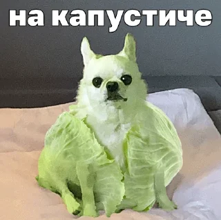 💴