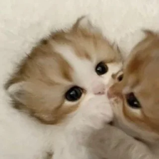 🥰
