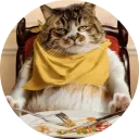 🐱