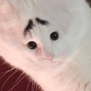 😥