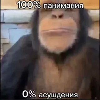 💯