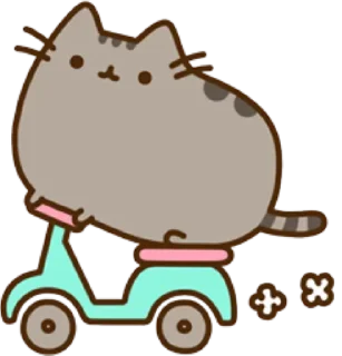 🚲