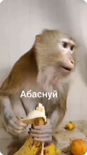 🍌