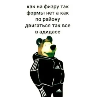 🐻