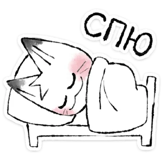 😴